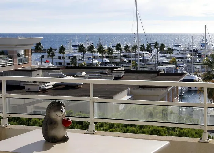 Standing Vue Mer Entre Cannes Et Antibes