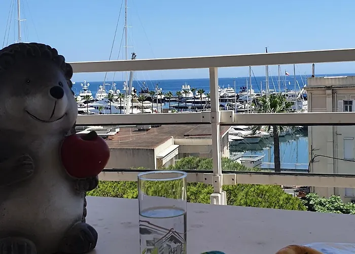 Standing Vue Mer Entre Cannes Et Antibes